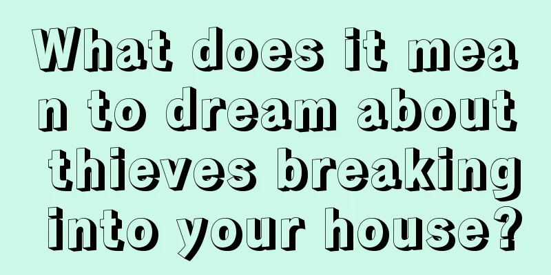 What does it mean to dream about thieves breaking into your house?