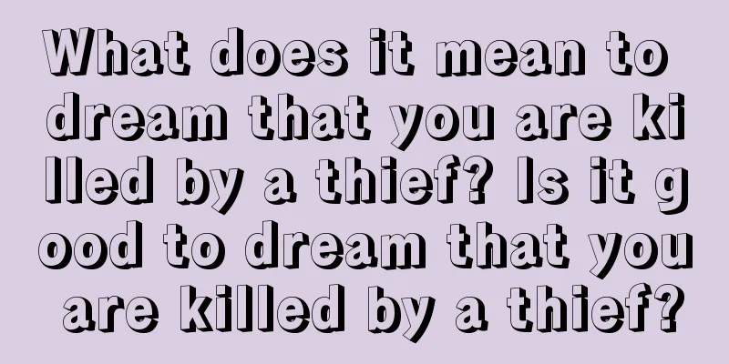 What does it mean to dream that you are killed by a thief? Is it good to dream that you are killed by a thief?