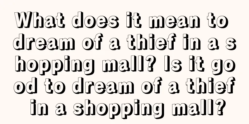 What does it mean to dream of a thief in a shopping mall? Is it good to dream of a thief in a shopping mall?