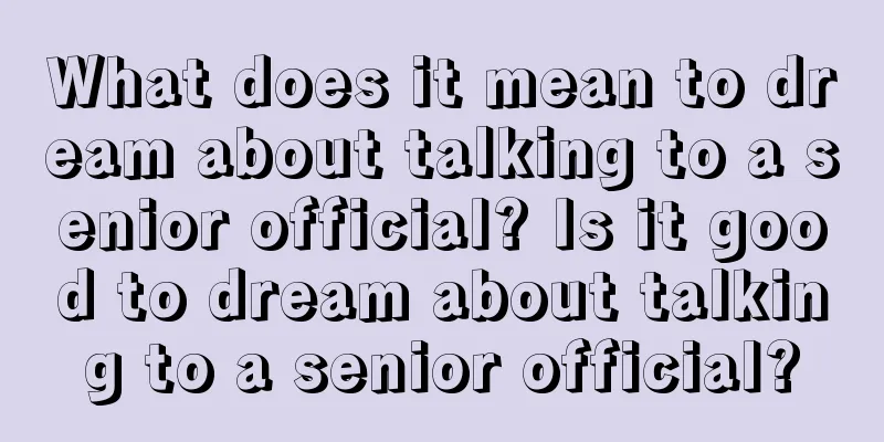 What does it mean to dream about talking to a senior official? Is it good to dream about talking to a senior official?