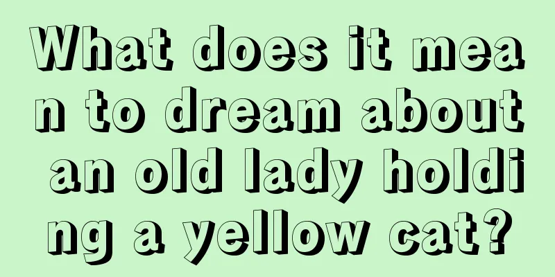 What does it mean to dream about an old lady holding a yellow cat?