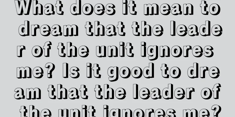 What does it mean to dream that the leader of the unit ignores me? Is it good to dream that the leader of the unit ignores me?