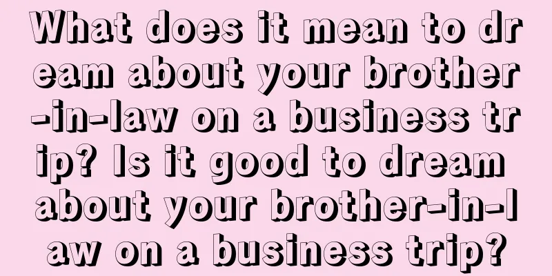 What does it mean to dream about your brother-in-law on a business trip? Is it good to dream about your brother-in-law on a business trip?