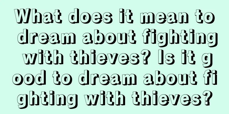 What does it mean to dream about fighting with thieves? Is it good to dream about fighting with thieves?