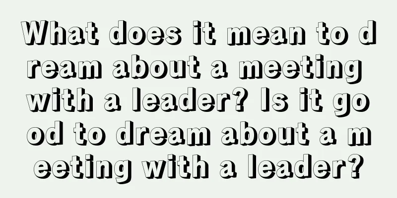 What does it mean to dream about a meeting with a leader? Is it good to dream about a meeting with a leader?