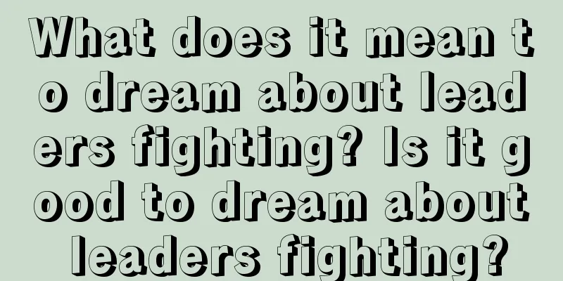 What does it mean to dream about leaders fighting? Is it good to dream about leaders fighting?