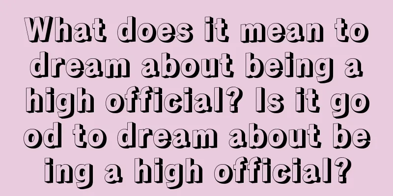 What does it mean to dream about being a high official? Is it good to dream about being a high official?