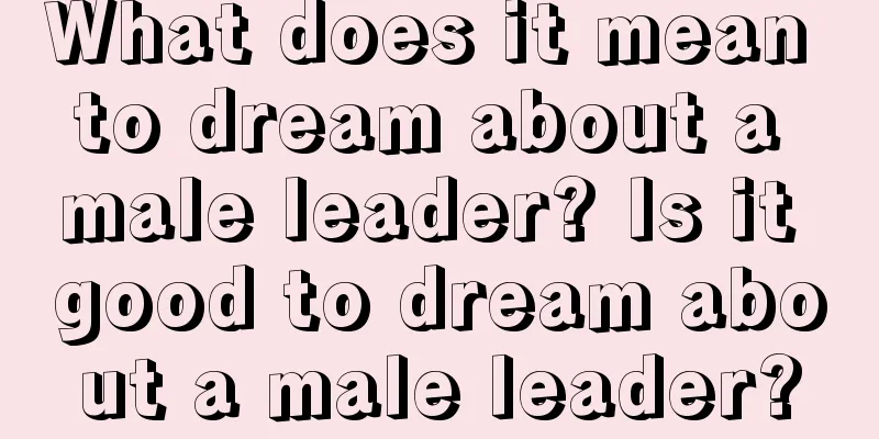 What does it mean to dream about a male leader? Is it good to dream about a male leader?