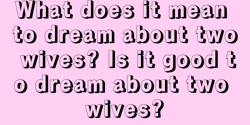 What does it mean to dream about two wives? Is it good to dream about two wives?