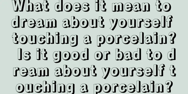 What does it mean to dream about yourself touching a porcelain? Is it good or bad to dream about yourself touching a porcelain?