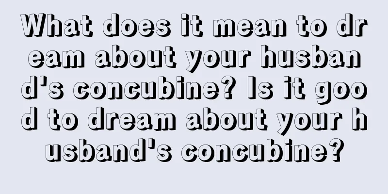 What does it mean to dream about your husband's concubine? Is it good to dream about your husband's concubine?