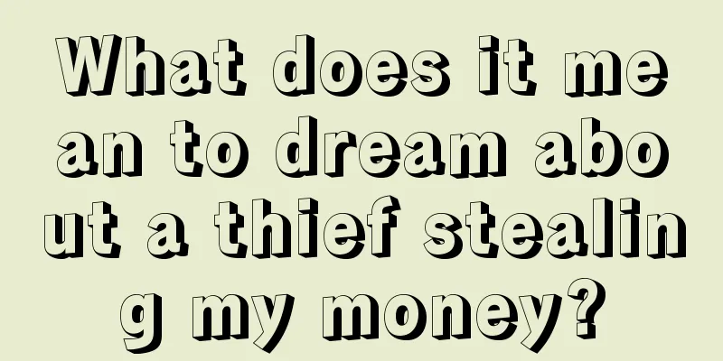 What does it mean to dream about a thief stealing my money?