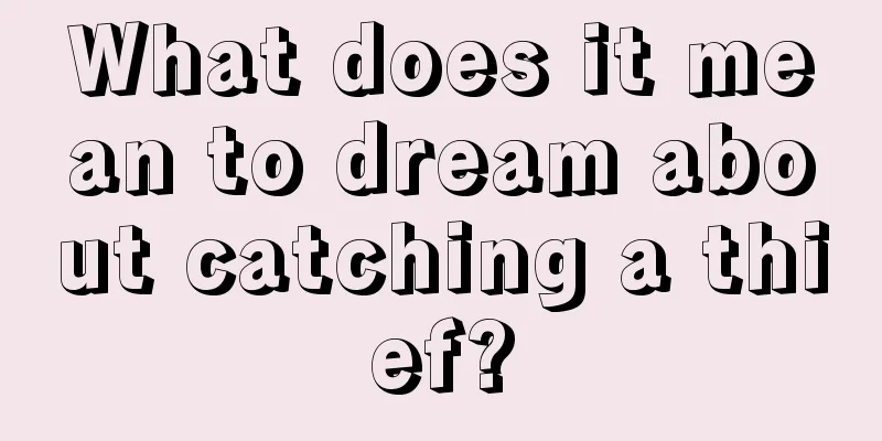 What does it mean to dream about catching a thief?