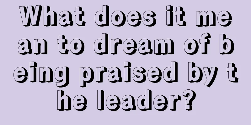 What does it mean to dream of being praised by the leader?