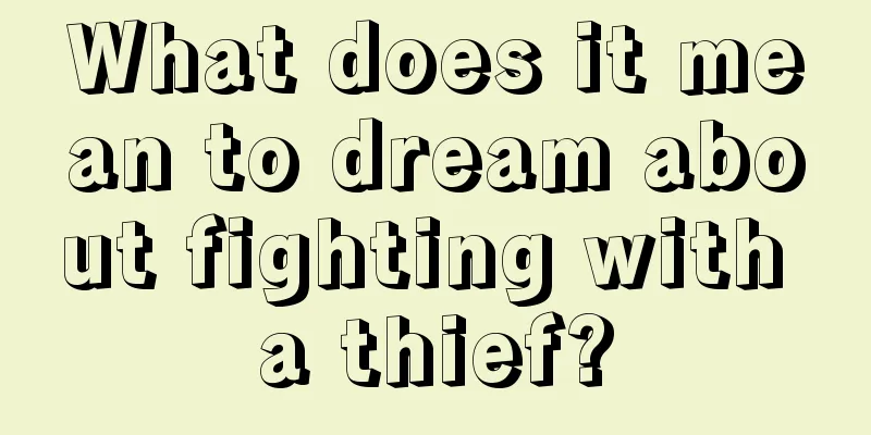 What does it mean to dream about fighting with a thief?