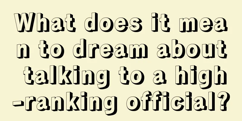 What does it mean to dream about talking to a high-ranking official?