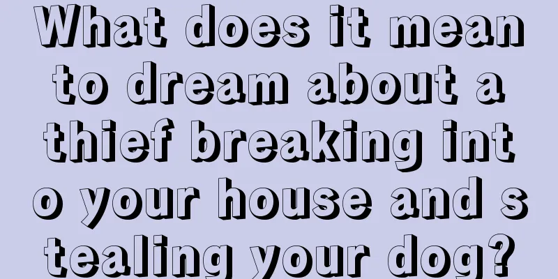 What does it mean to dream about a thief breaking into your house and stealing your dog?