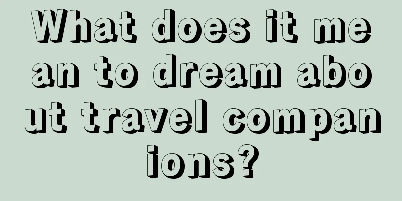 What does it mean to dream about travel companions?