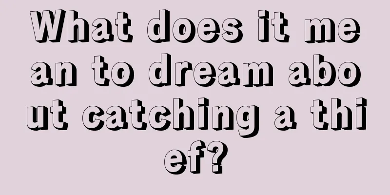 What does it mean to dream about catching a thief?