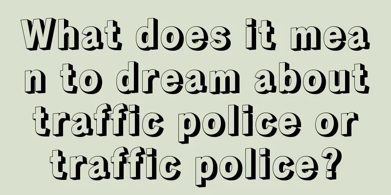 What does it mean to dream about traffic police or traffic police?