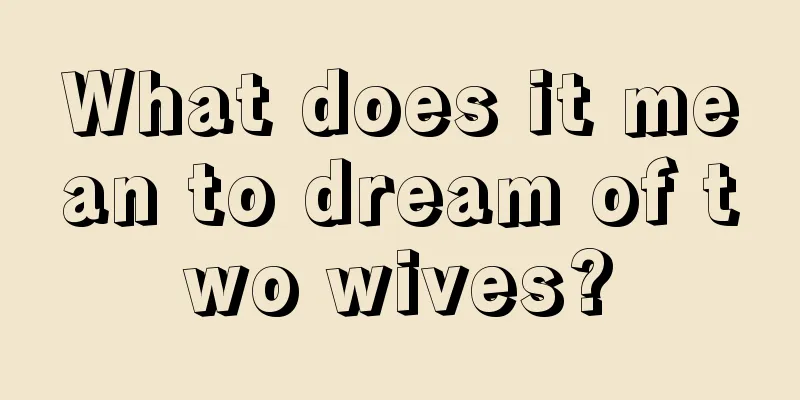 What does it mean to dream of two wives?