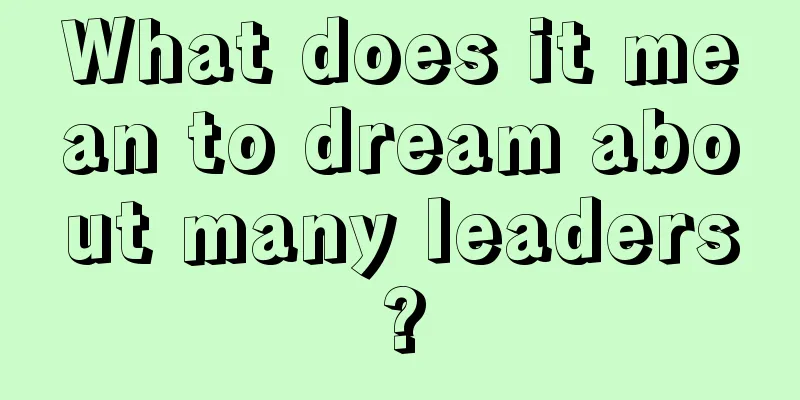 What does it mean to dream about many leaders?