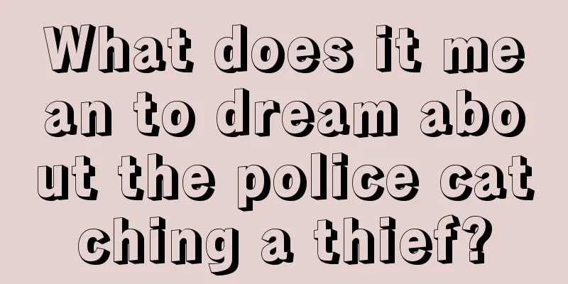 What does it mean to dream about the police catching a thief?