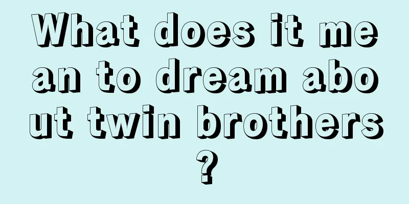 What does it mean to dream about twin brothers?