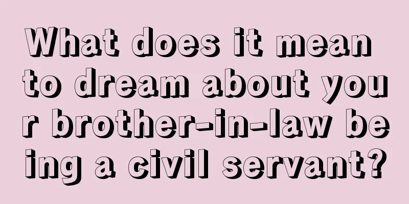 What does it mean to dream about your brother-in-law being a civil servant?