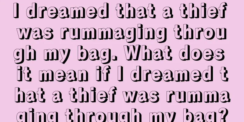 I dreamed that a thief was rummaging through my bag. What does it mean if I dreamed that a thief was rummaging through my bag?