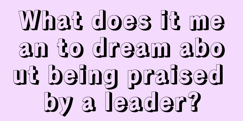 What does it mean to dream about being praised by a leader?