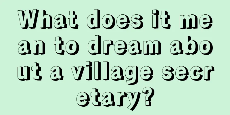 What does it mean to dream about a village secretary?