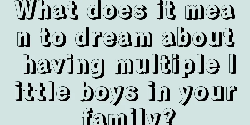 What does it mean to dream about having multiple little boys in your family?