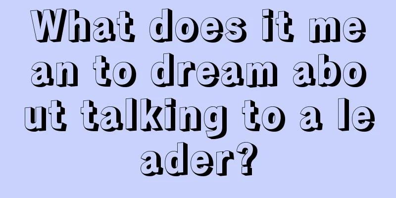 What does it mean to dream about talking to a leader?