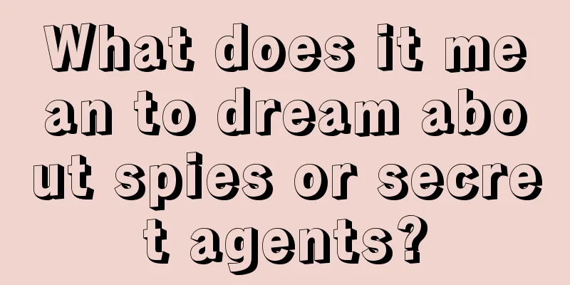 What does it mean to dream about spies or secret agents?