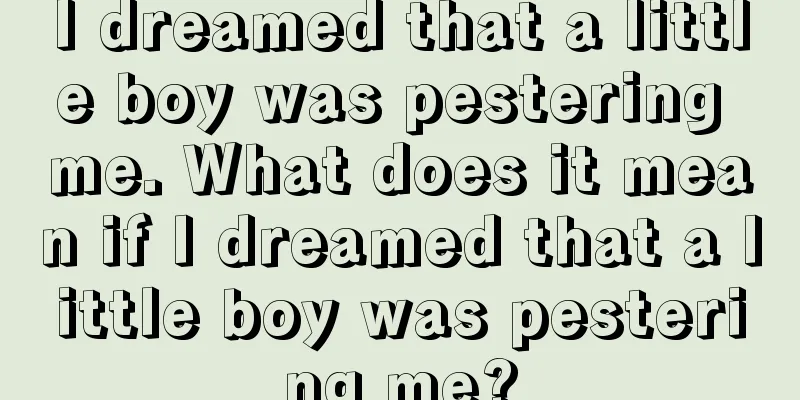 I dreamed that a little boy was pestering me. What does it mean if I dreamed that a little boy was pestering me?