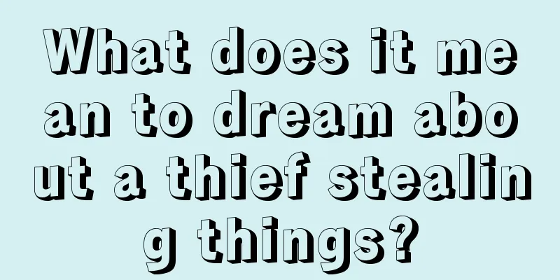 What does it mean to dream about a thief stealing things?