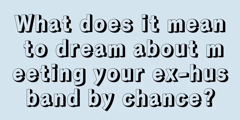 What does it mean to dream about meeting your ex-husband by chance?