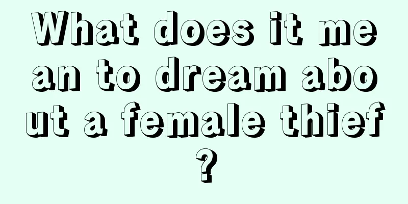 What does it mean to dream about a female thief?