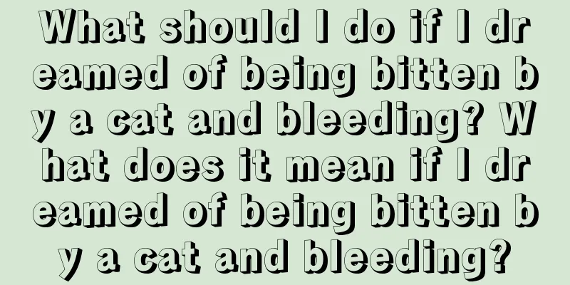 What should I do if I dreamed of being bitten by a cat and bleeding? What does it mean if I dreamed of being bitten by a cat and bleeding?