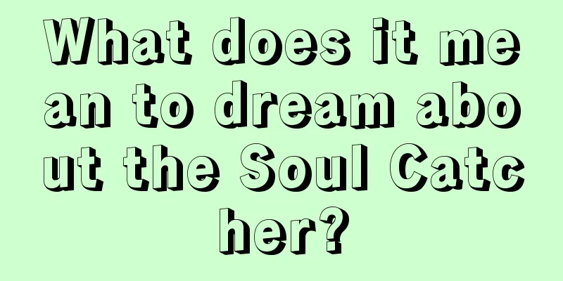 What does it mean to dream about the Soul Catcher?