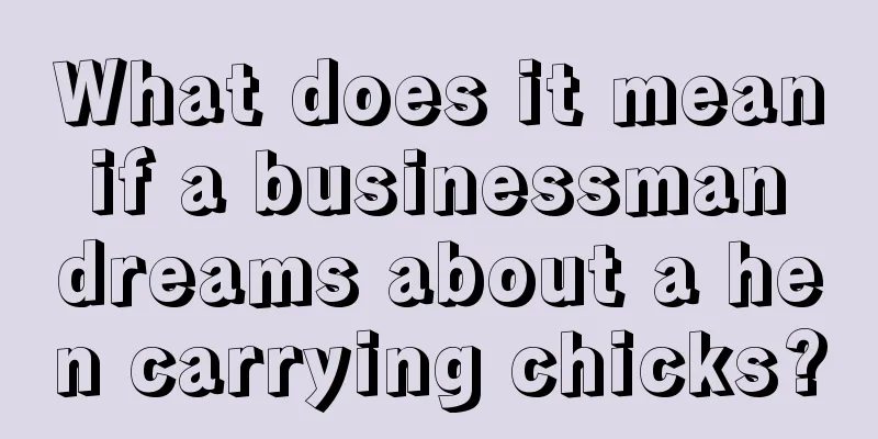 What does it mean if a businessman dreams about a hen carrying chicks?