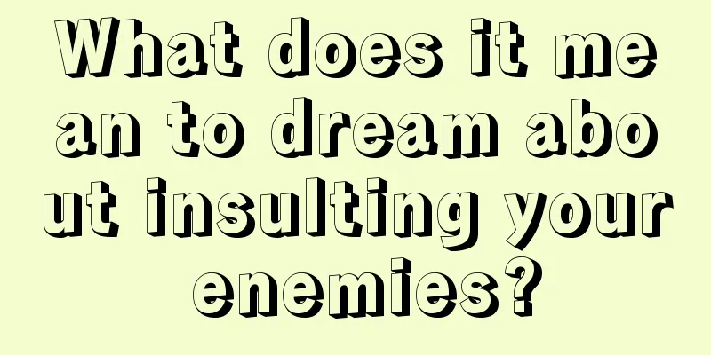 What does it mean to dream about insulting your enemies?