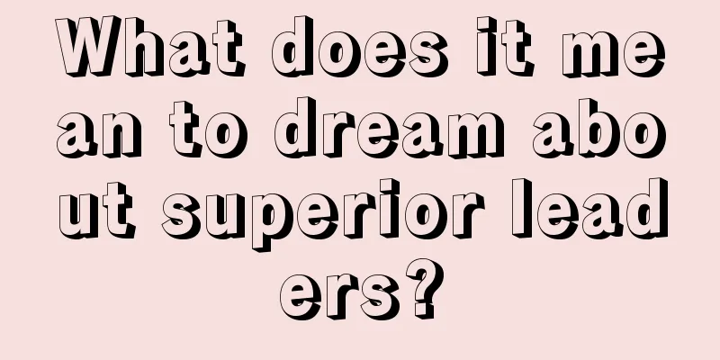 What does it mean to dream about superior leaders?